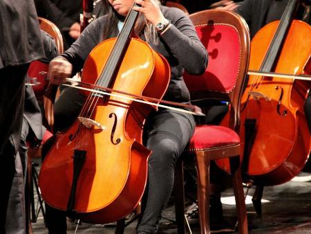 Imagen La Orquesta Sinfónica de Segovia lleva la música de Beethoven y de Manuel de Falla a El Henar gracias a la Diputación